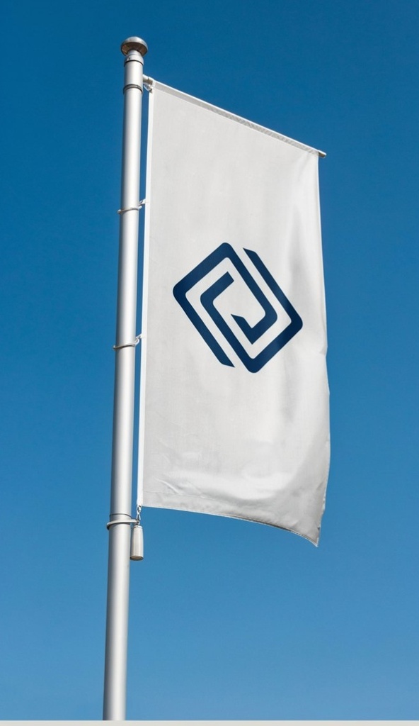 [LIPM-FLG-001] Corporate Geometric Flag